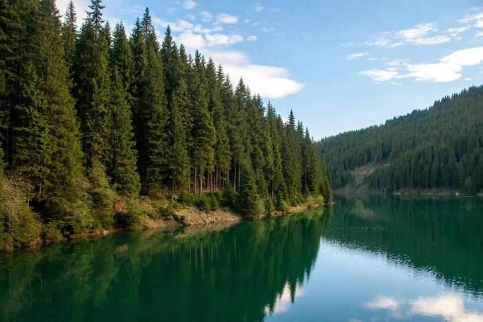 Camping Aviator, Numai Teren, Campare Pentru Rulote Autorulote Personale, Campingul Nu Are Rulote !!! Буштені Екстер'єр фото